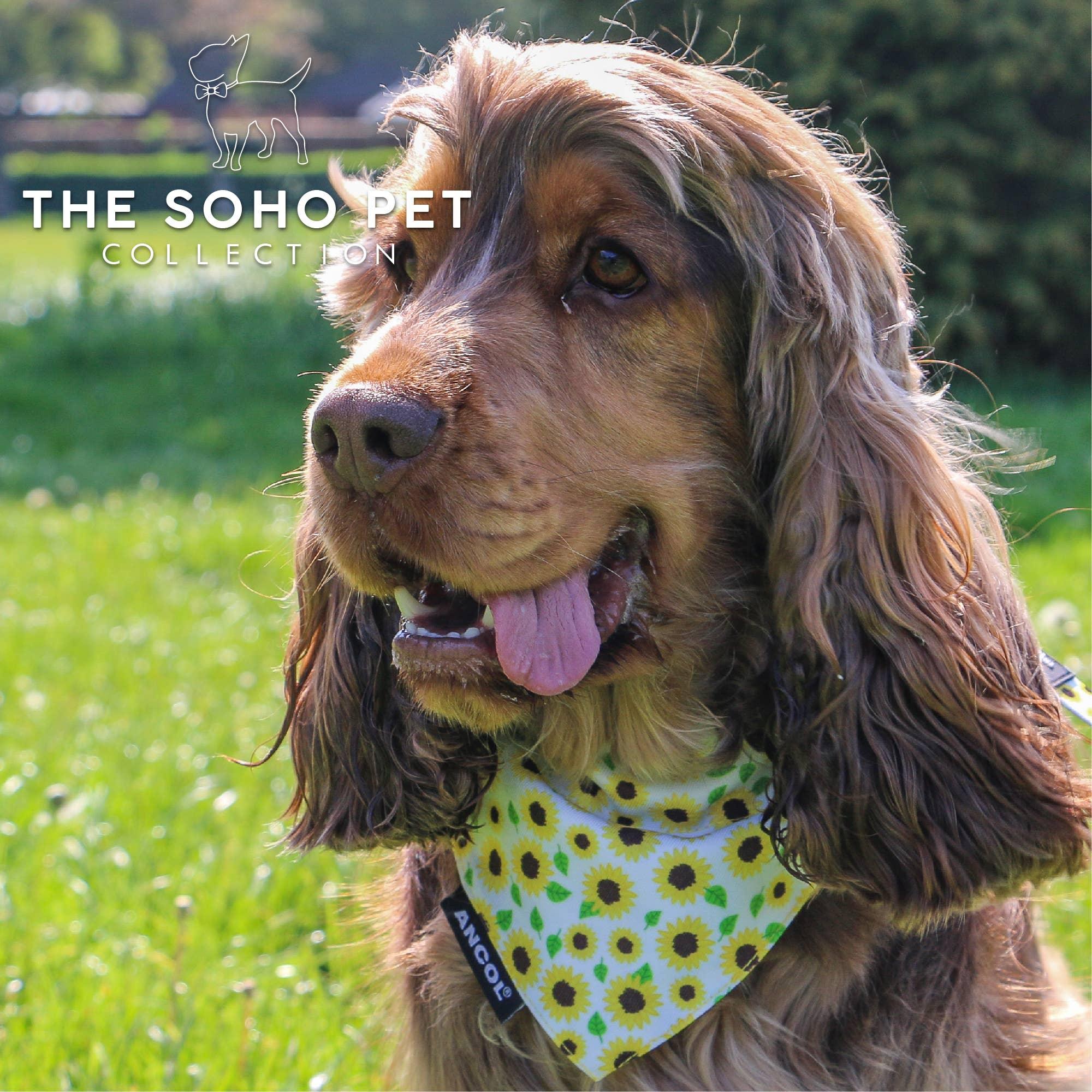 Gingham &amp; Soho Sunshine Bandanas