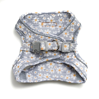 Blossom Step-in Harness