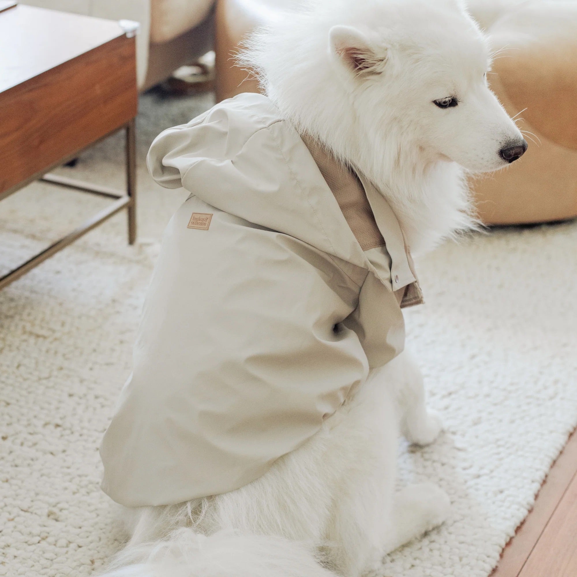 Imperméable Brighton