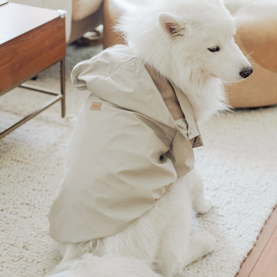 Brighton Raincoat