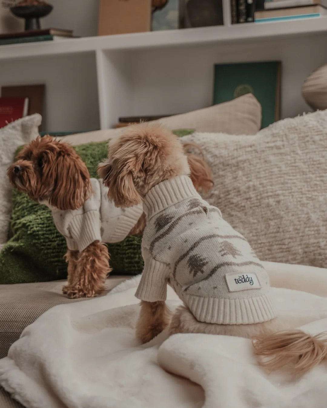 Pull col roulé Winter Trees