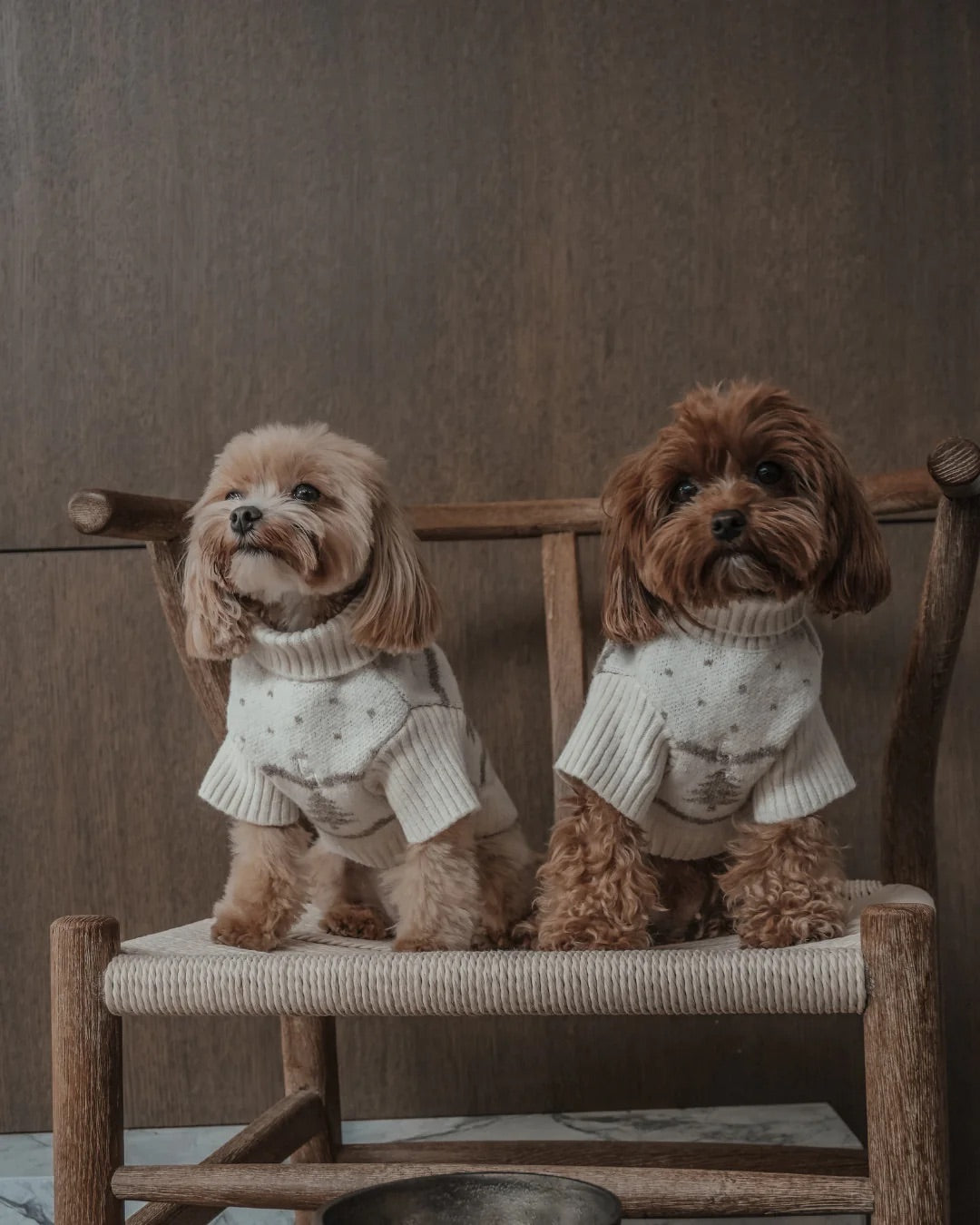 Pull col roulé Winter Trees