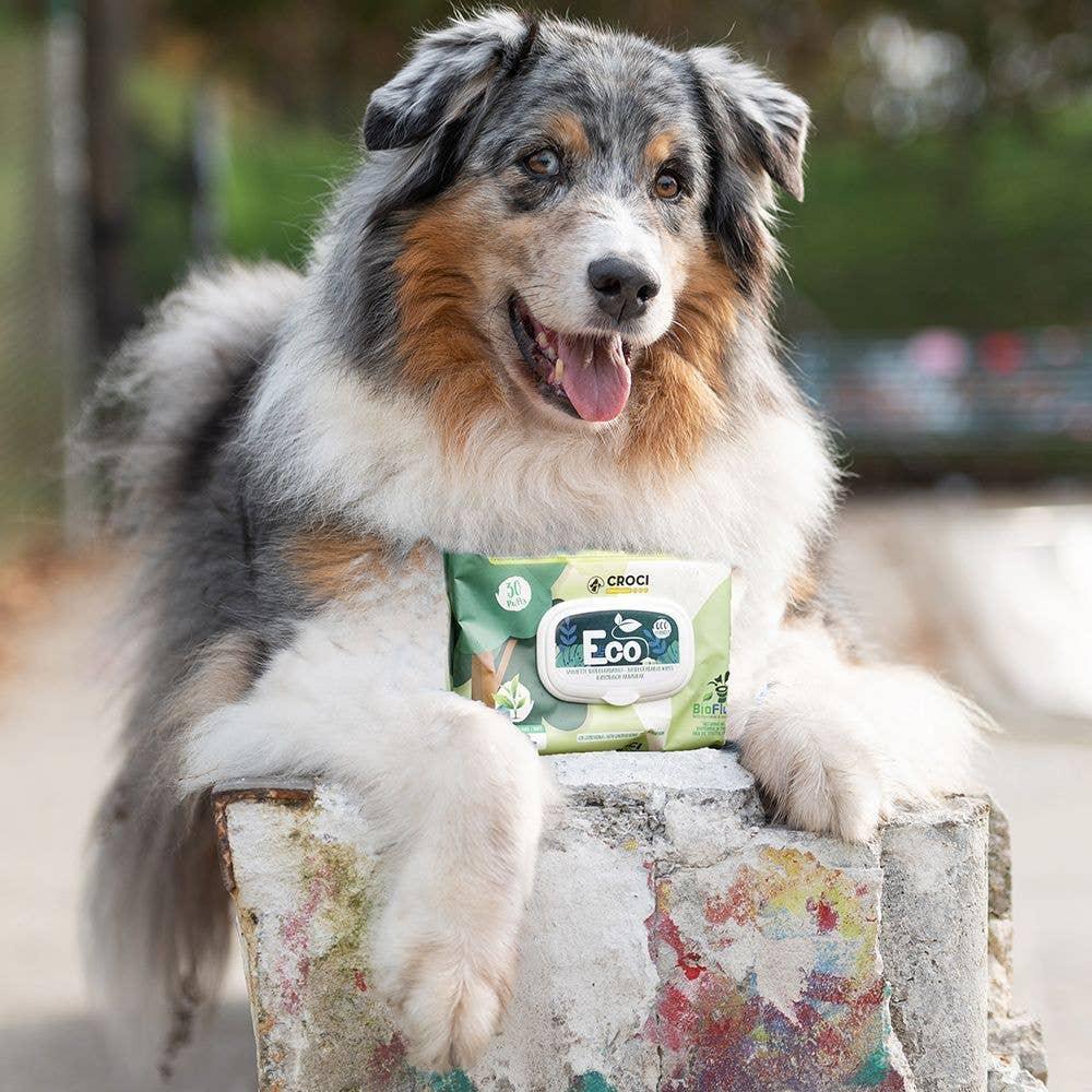Ecological wet wipes