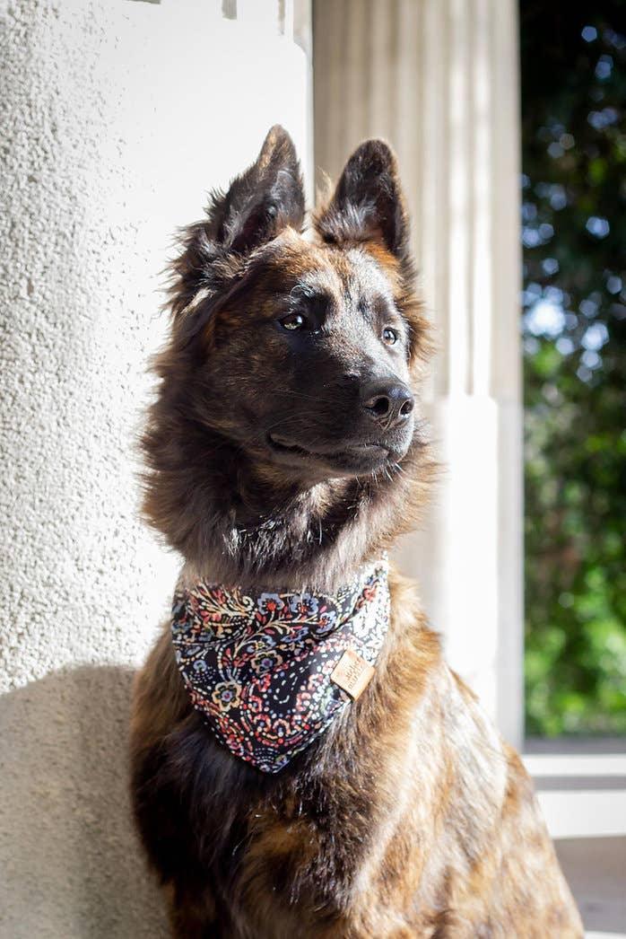 Bandana Lennon