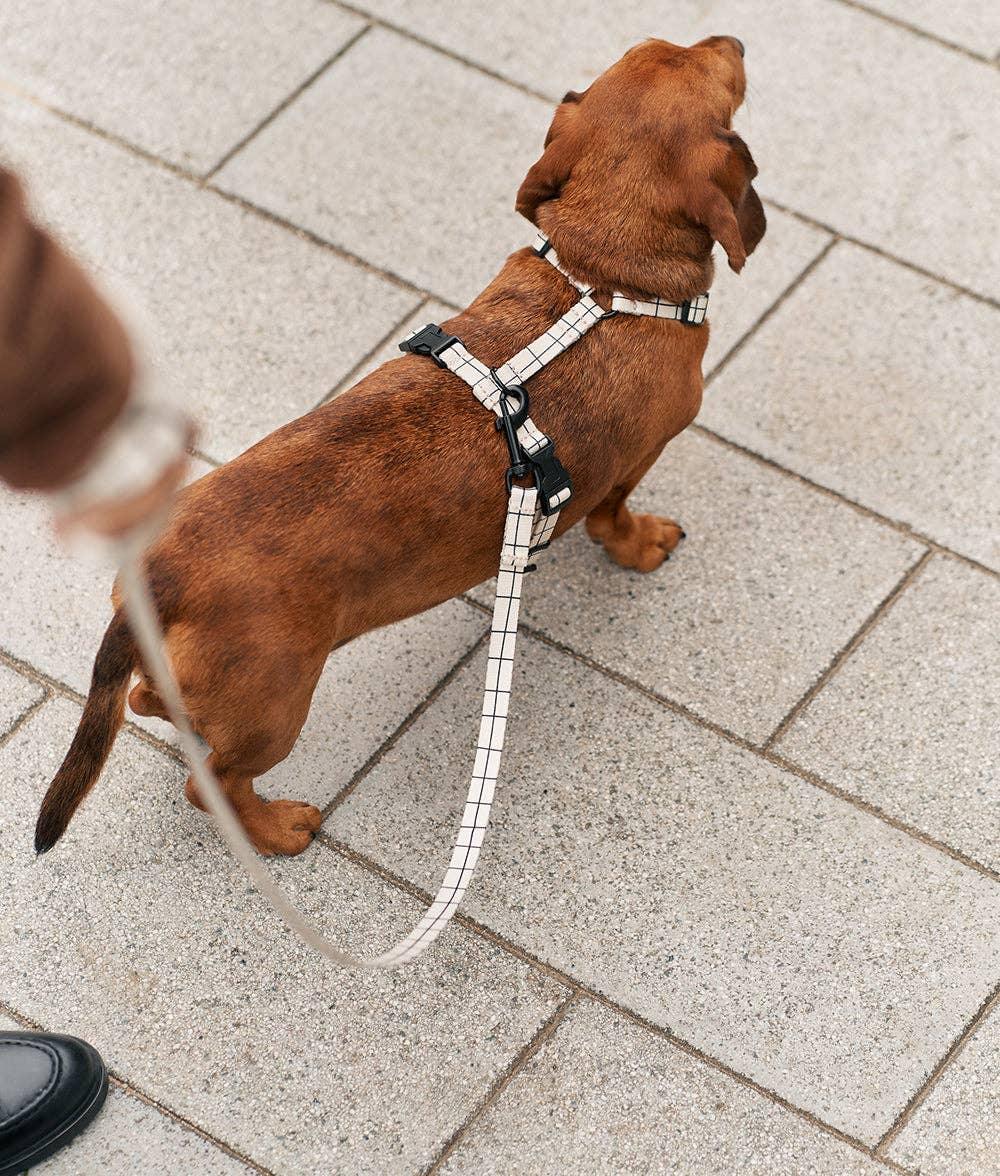 Linea Beige Harness