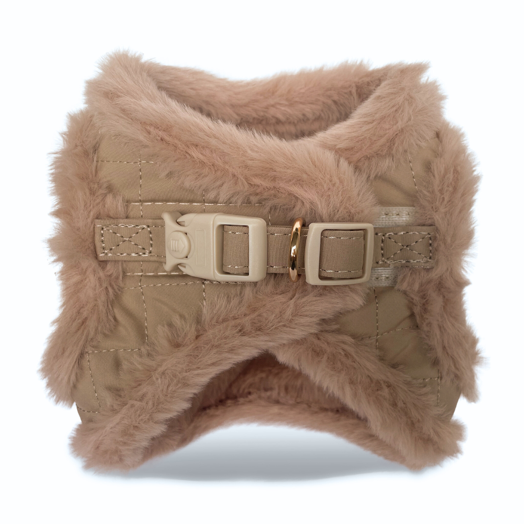 Harnais Step-in Toffee