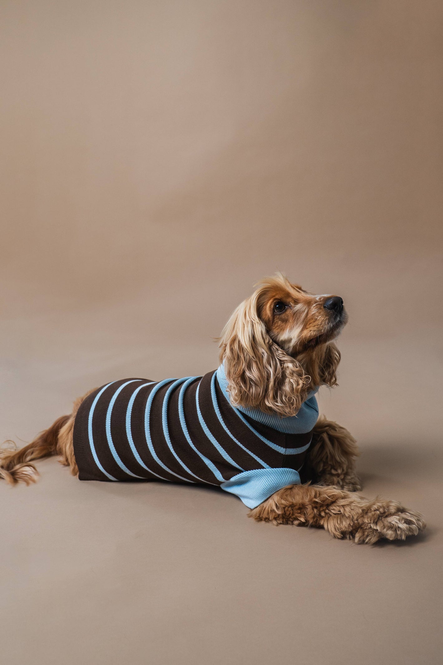 Maglione a righe