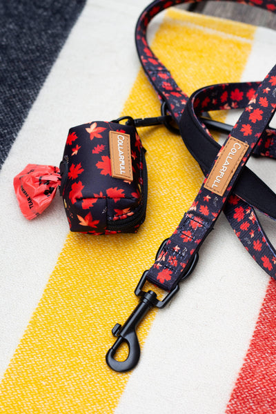 Autumn leaves adjustable leash