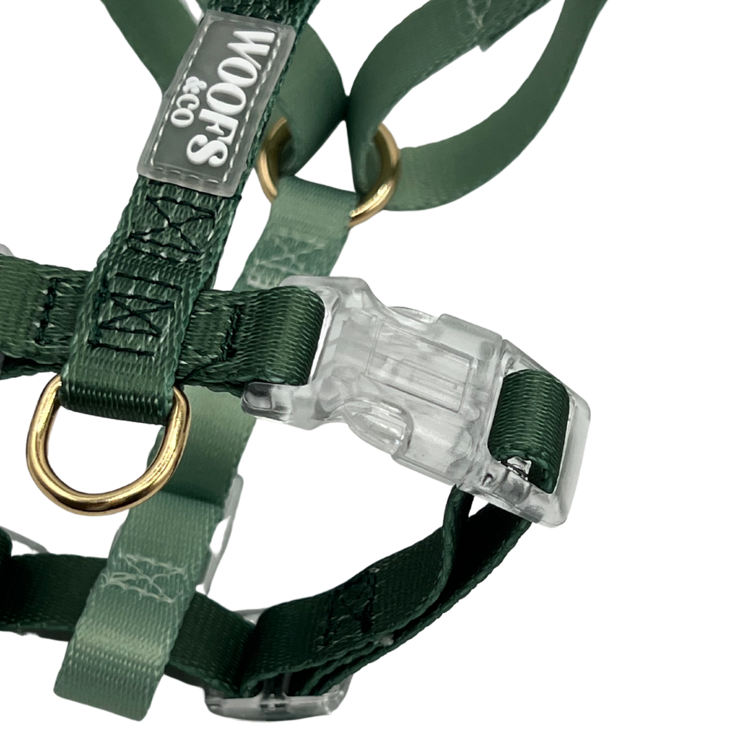 Harnais bicolore Sage Green