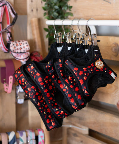 Autumn Leaves Harness