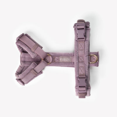 Harnais Furlou Velvet Lilas