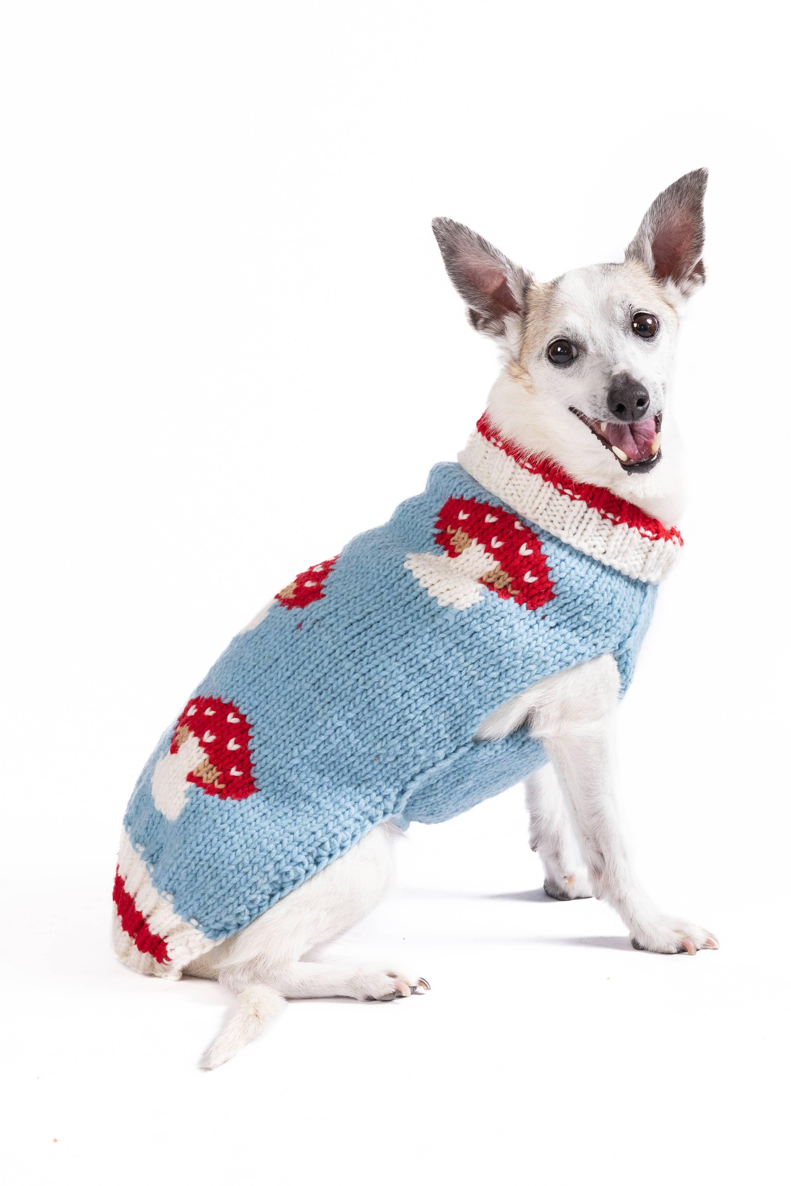 Pull en laine Mushroom