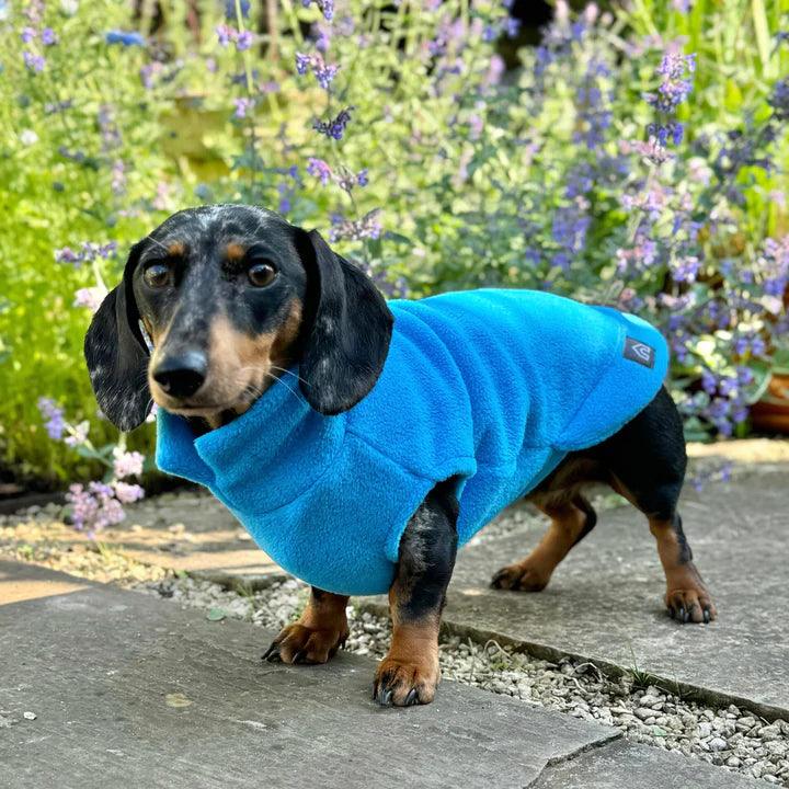 Pull polaire pour teckel