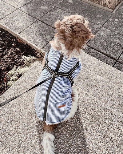 Chaqueta con arnés integrado Charlie