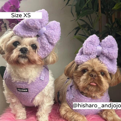 Pettorina regolabile Teddy Lilas
