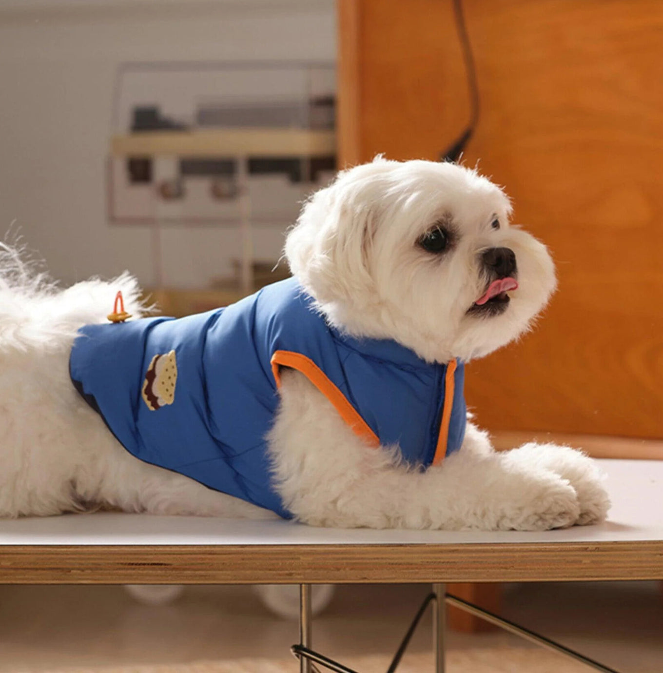 Le Cake Reversible Padded Jacket