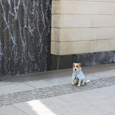 Lichtgrijze regenjas voor honden