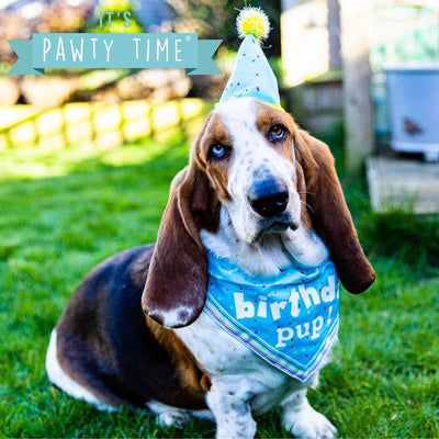 Birthday hat and bandana kit