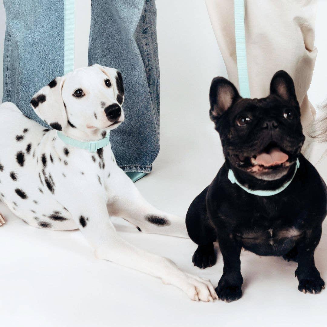 Lomi necklace in recycled PET