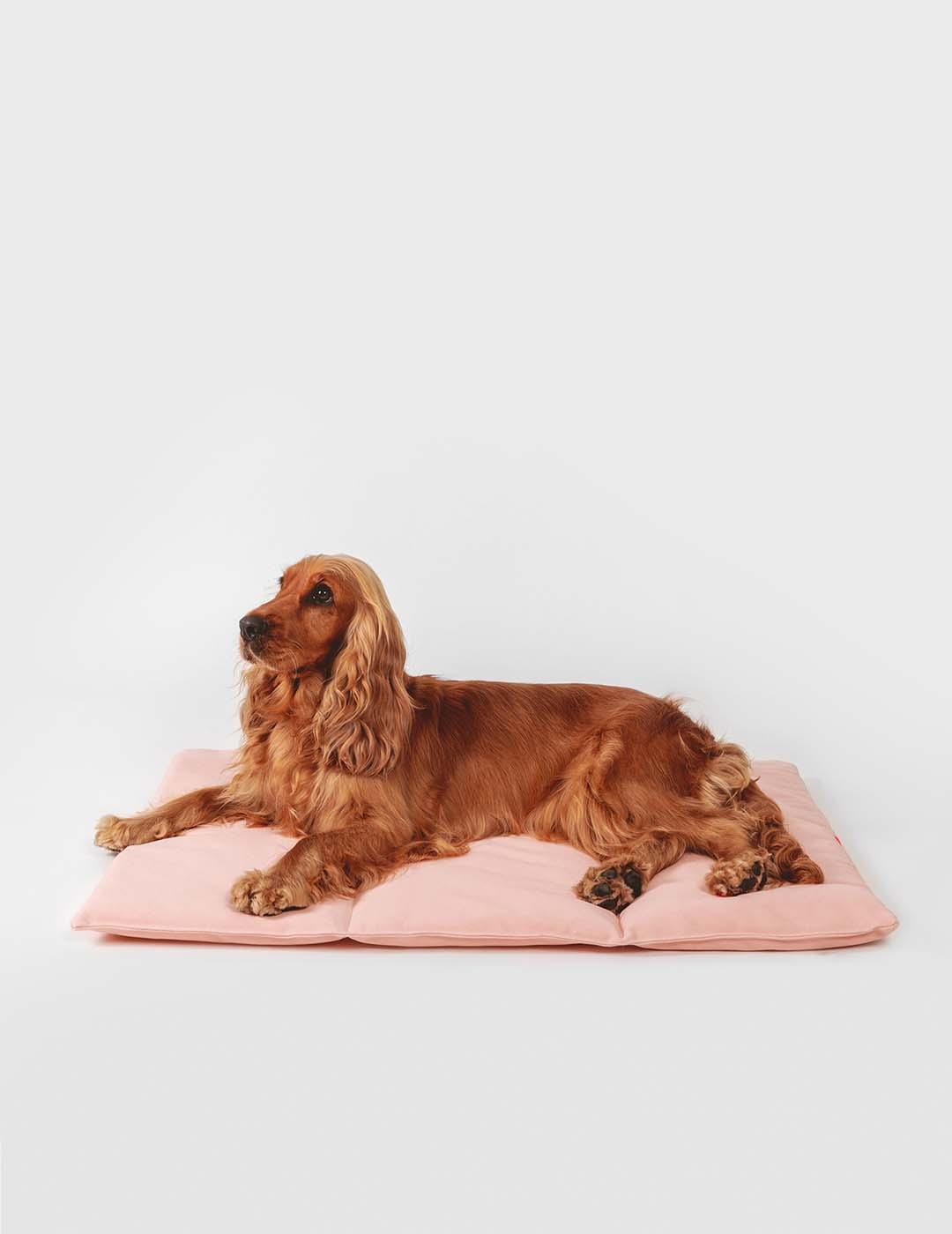 Lit nomade pour chien