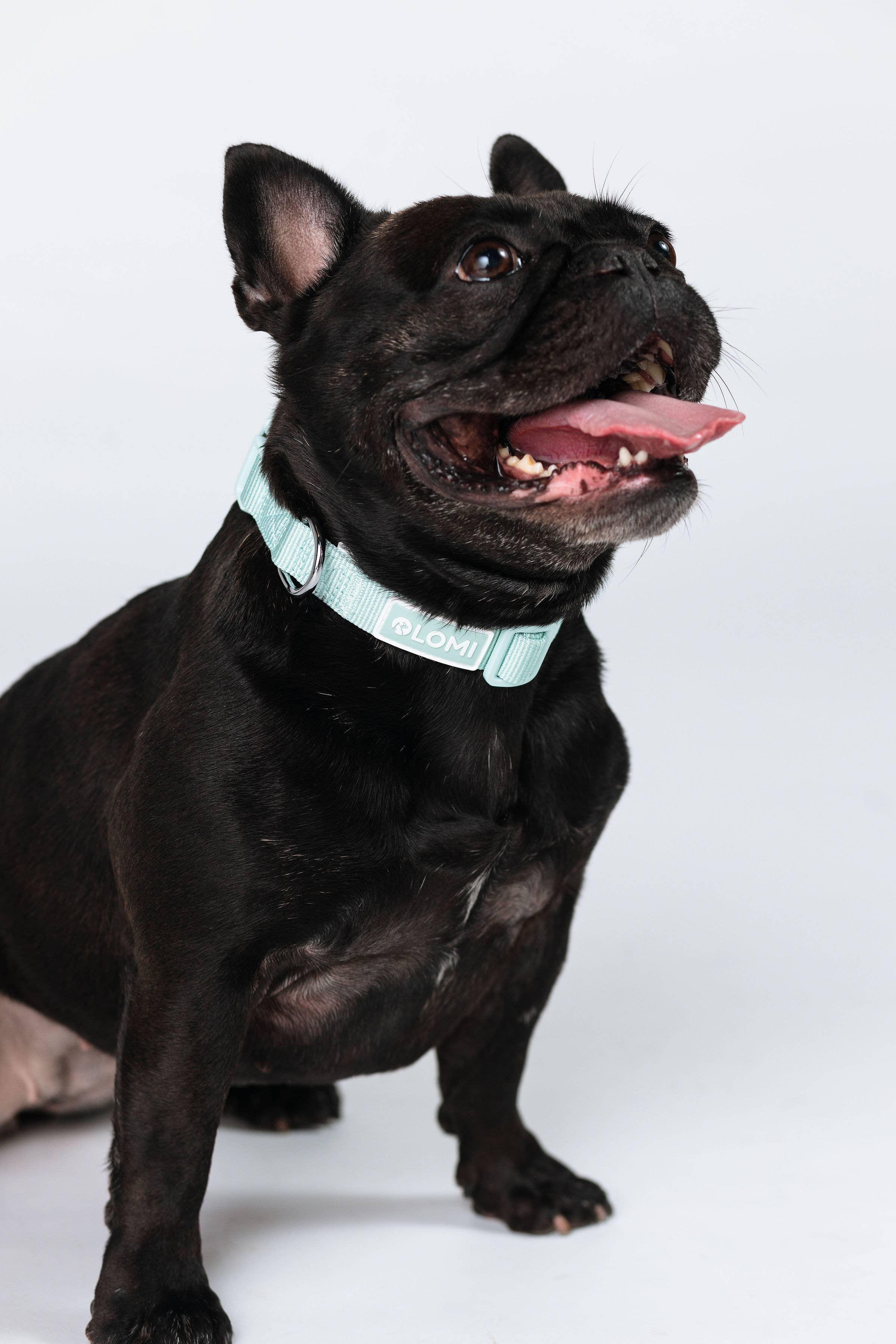 Lomi necklace in recycled PET