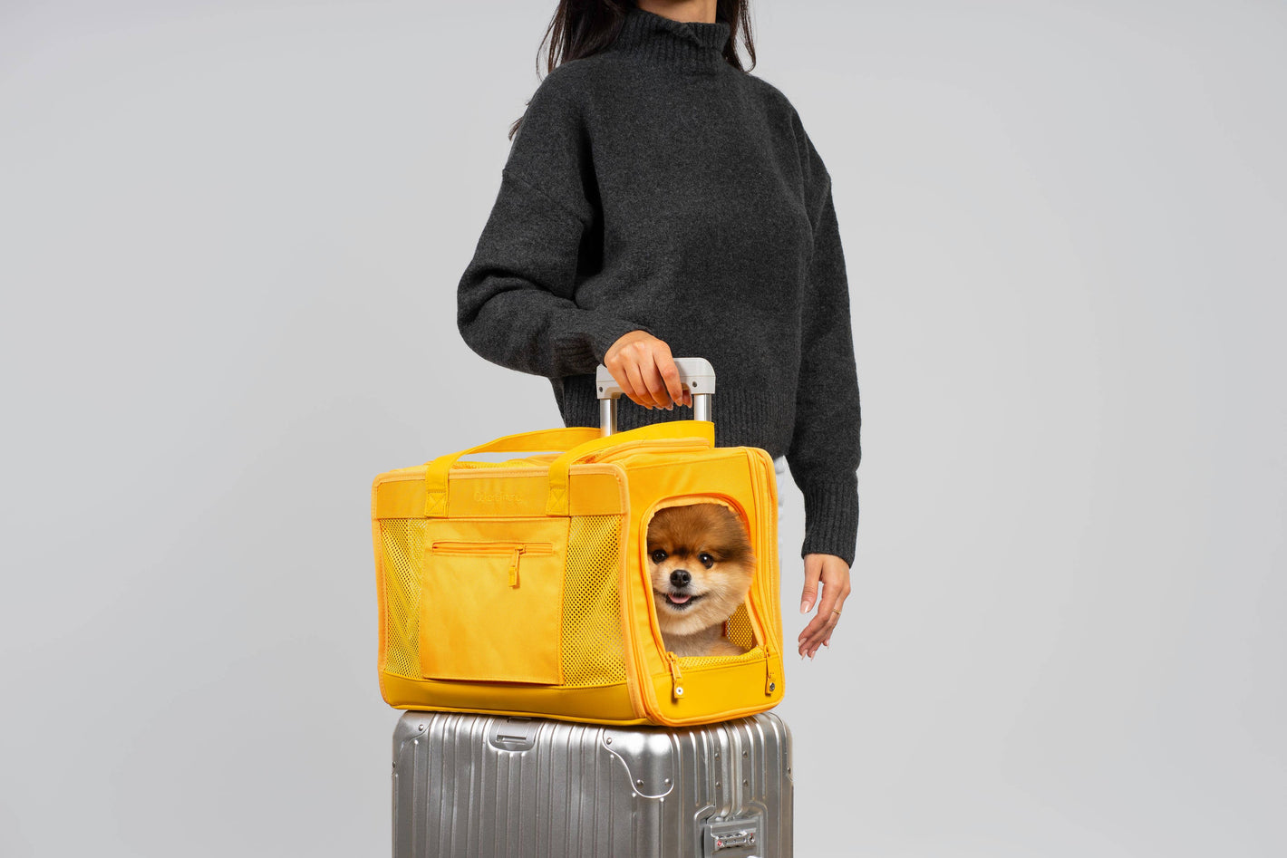 Borsa da trasporto per animali Sunburst