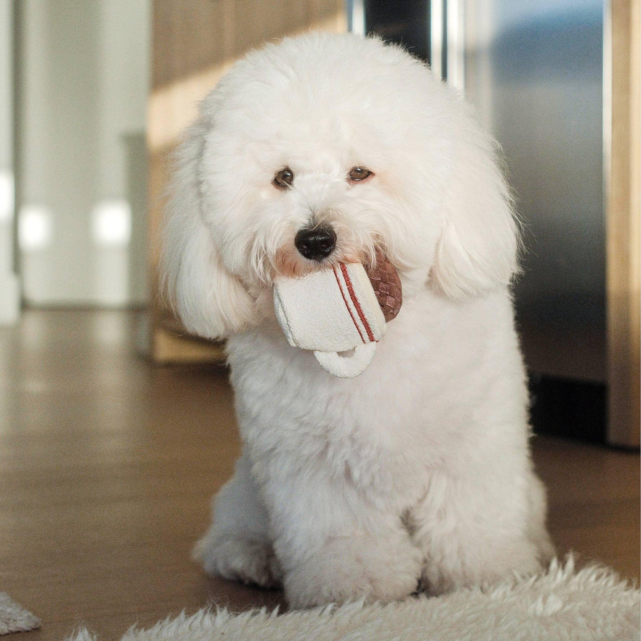Expresso Enrichment Toy