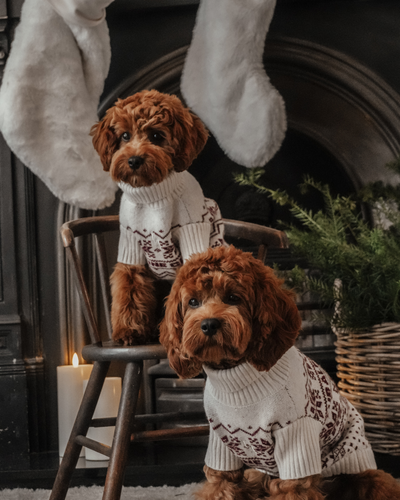 By Teddy - Snowberry | Pull Après-ski en maille à col roulé - XS/S