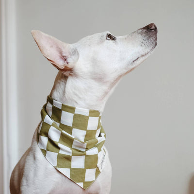 Bandana schaakbord