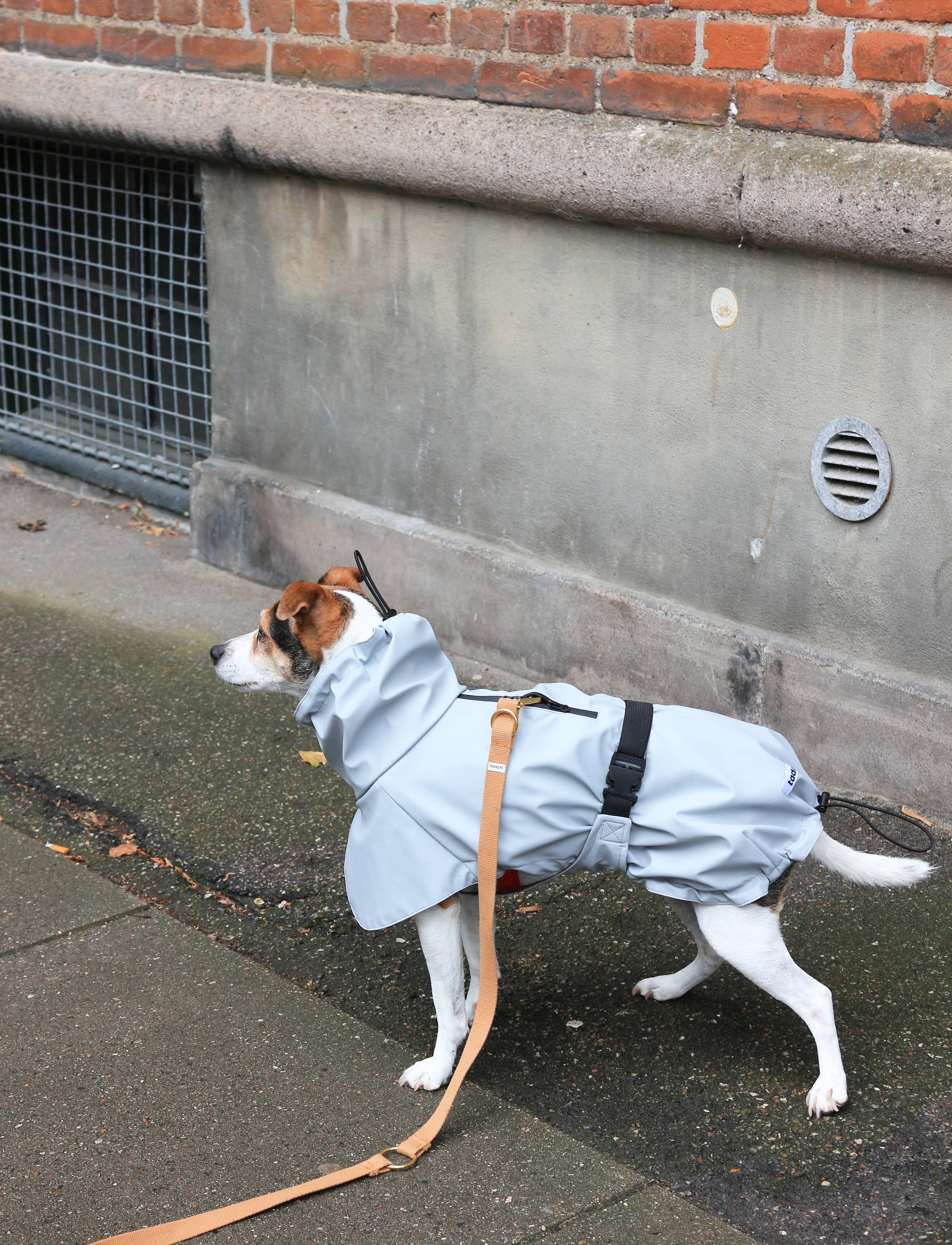 Imperméable pour chien gris clair
