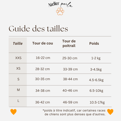 Harnais Step-in Vichy rose poudré