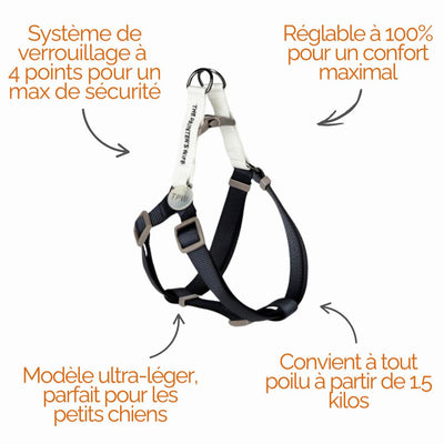 Harnais Sonia - Bleu marine et blanc