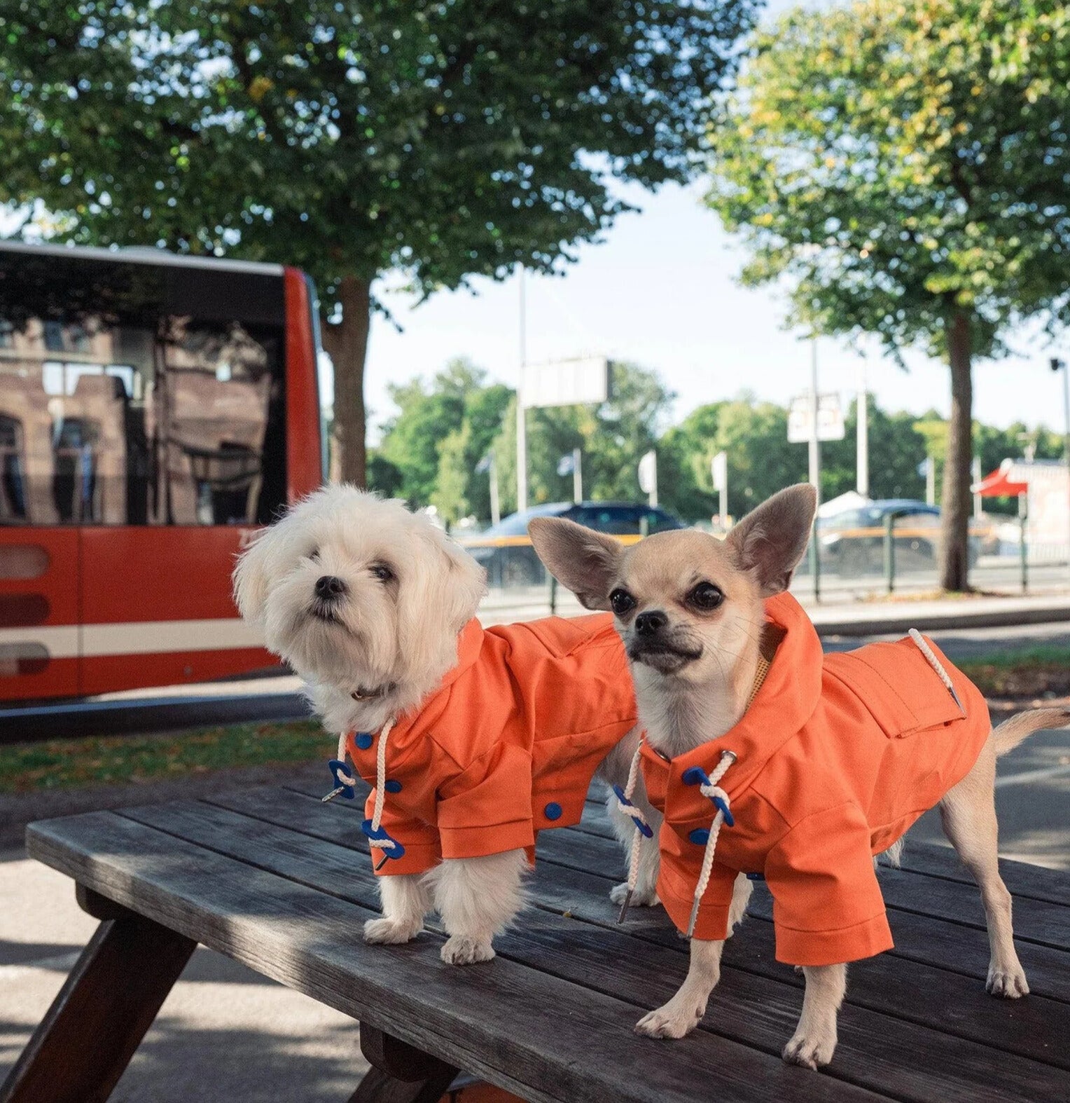Imperméable orange fluo