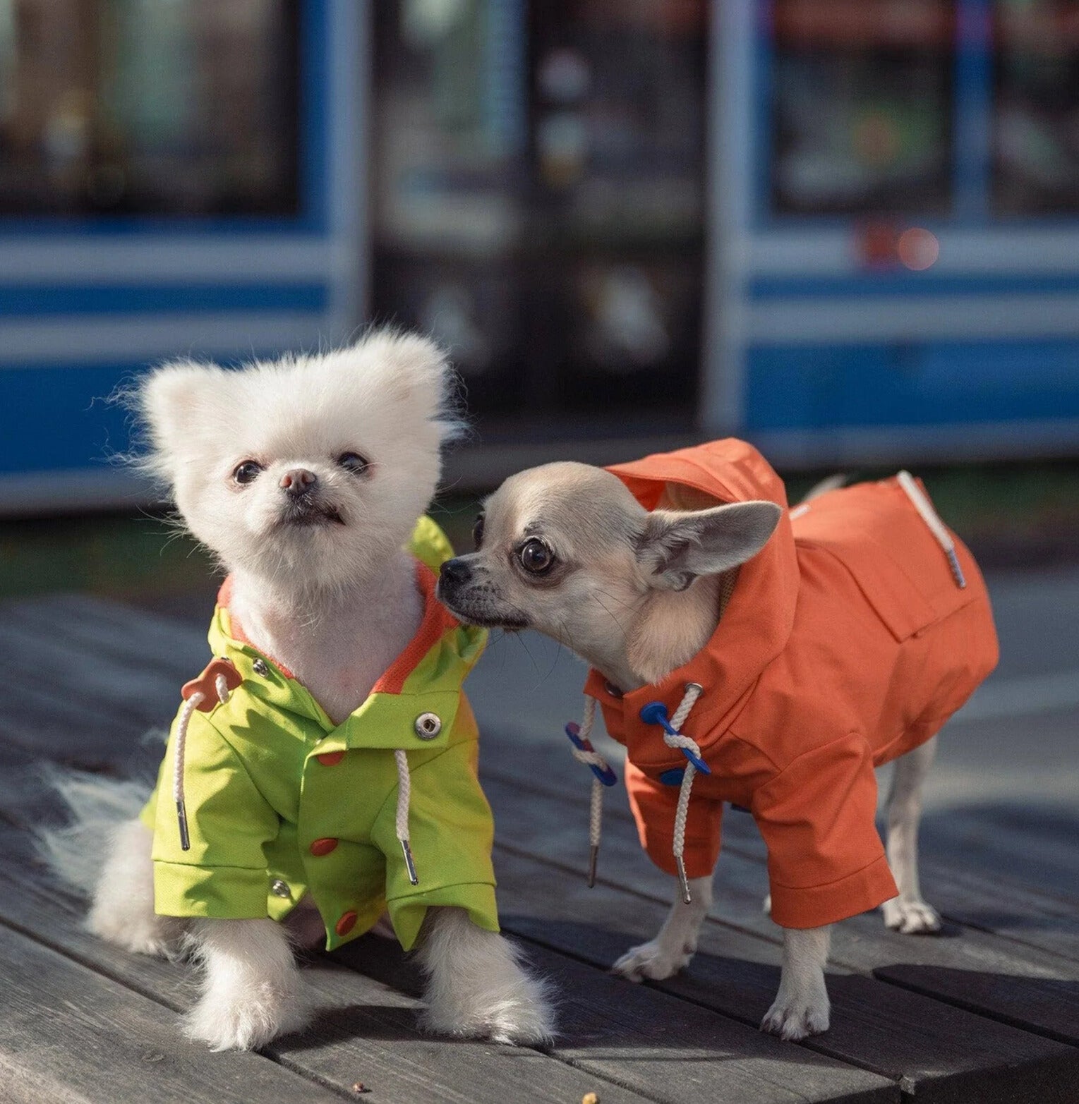 Imperméable orange fluo