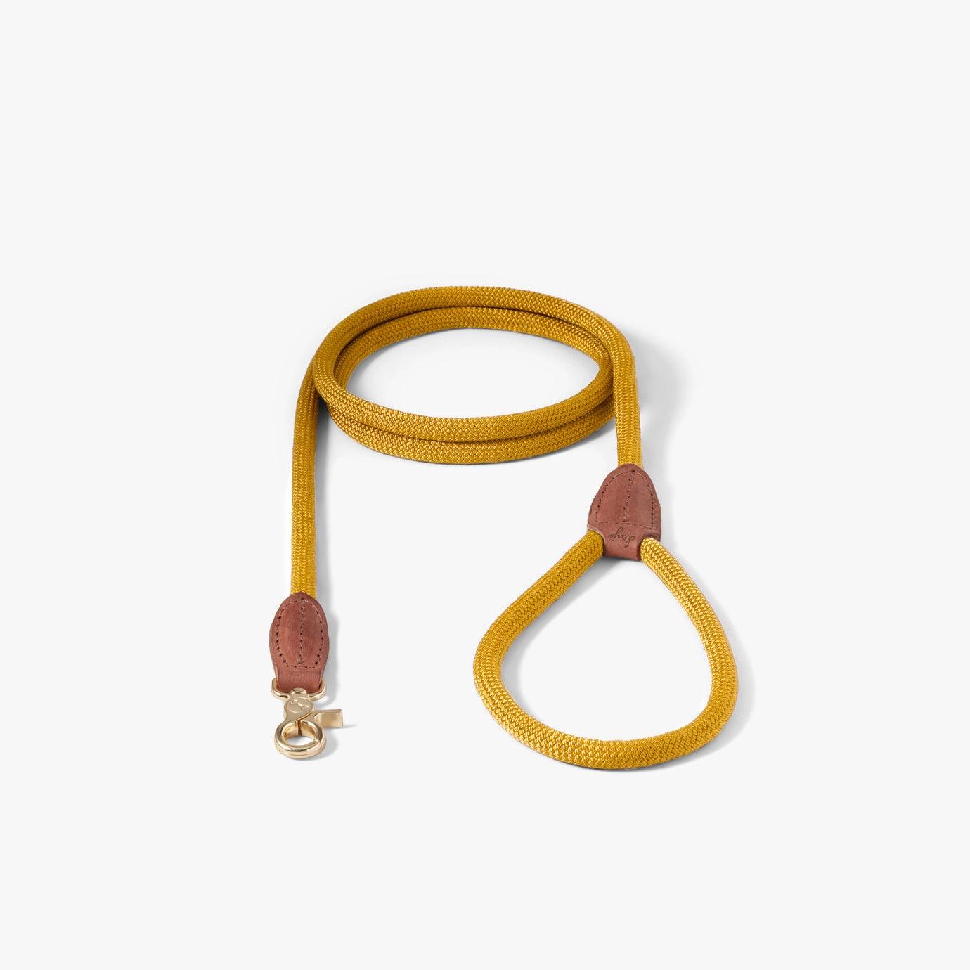 Leash Sunflower Yellow