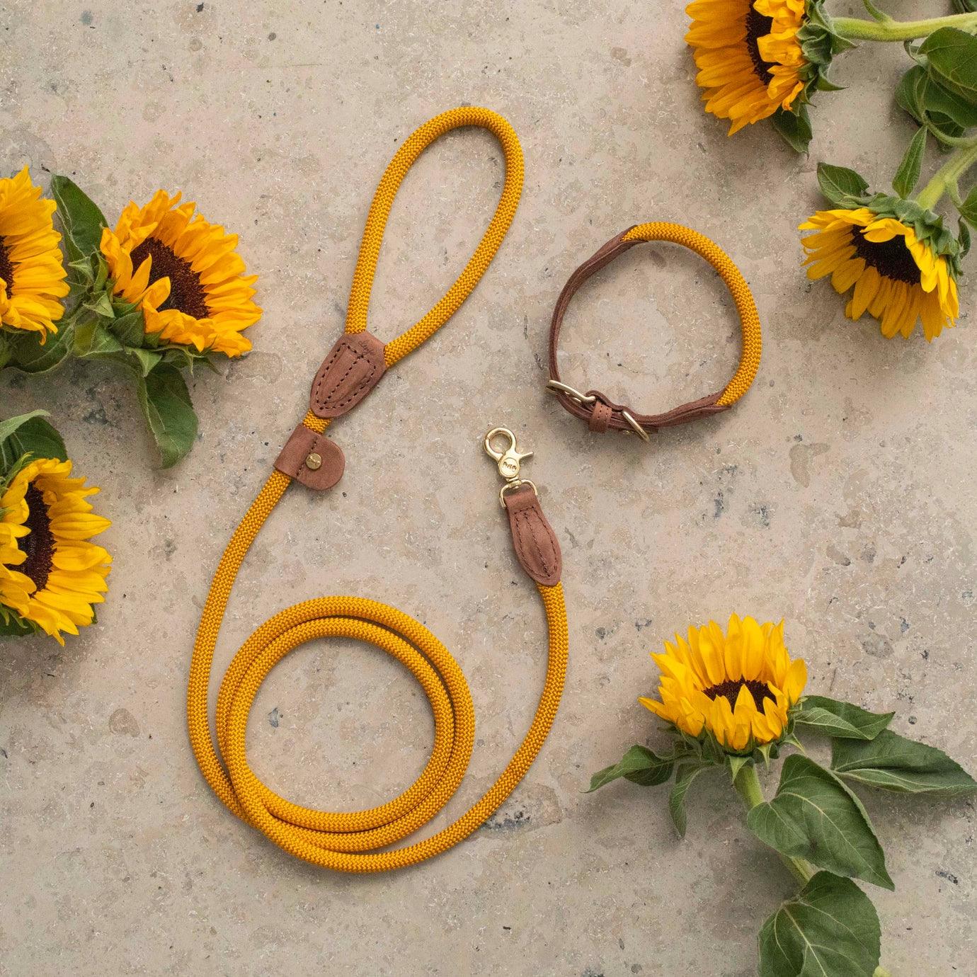 Leash Sunflower Yellow