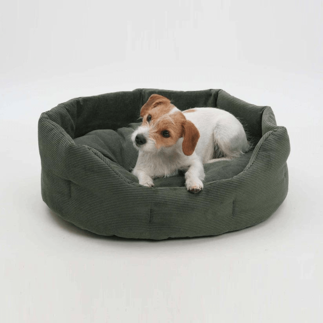 Cuccia Chelsea Cord