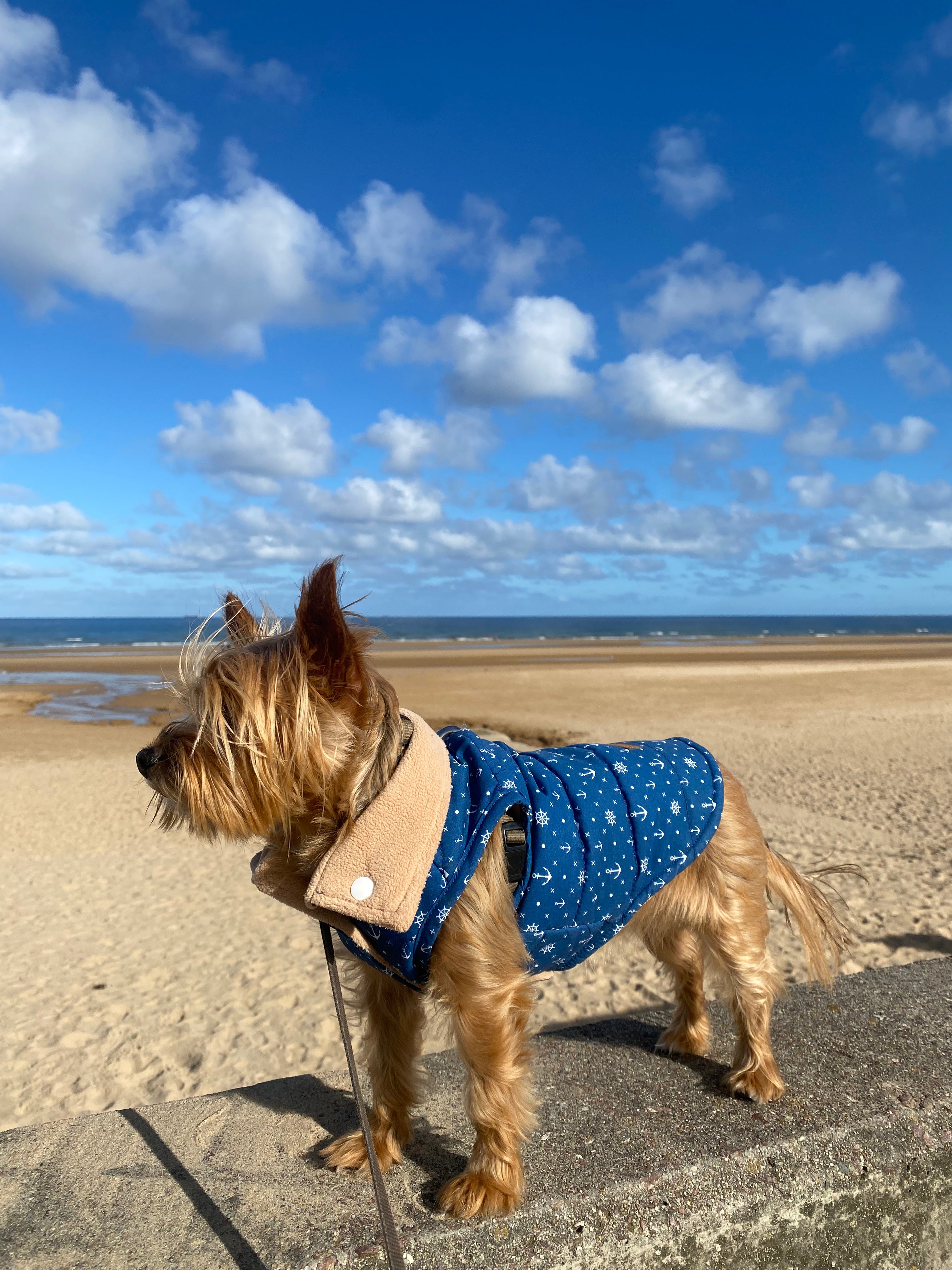 Sailor jacket