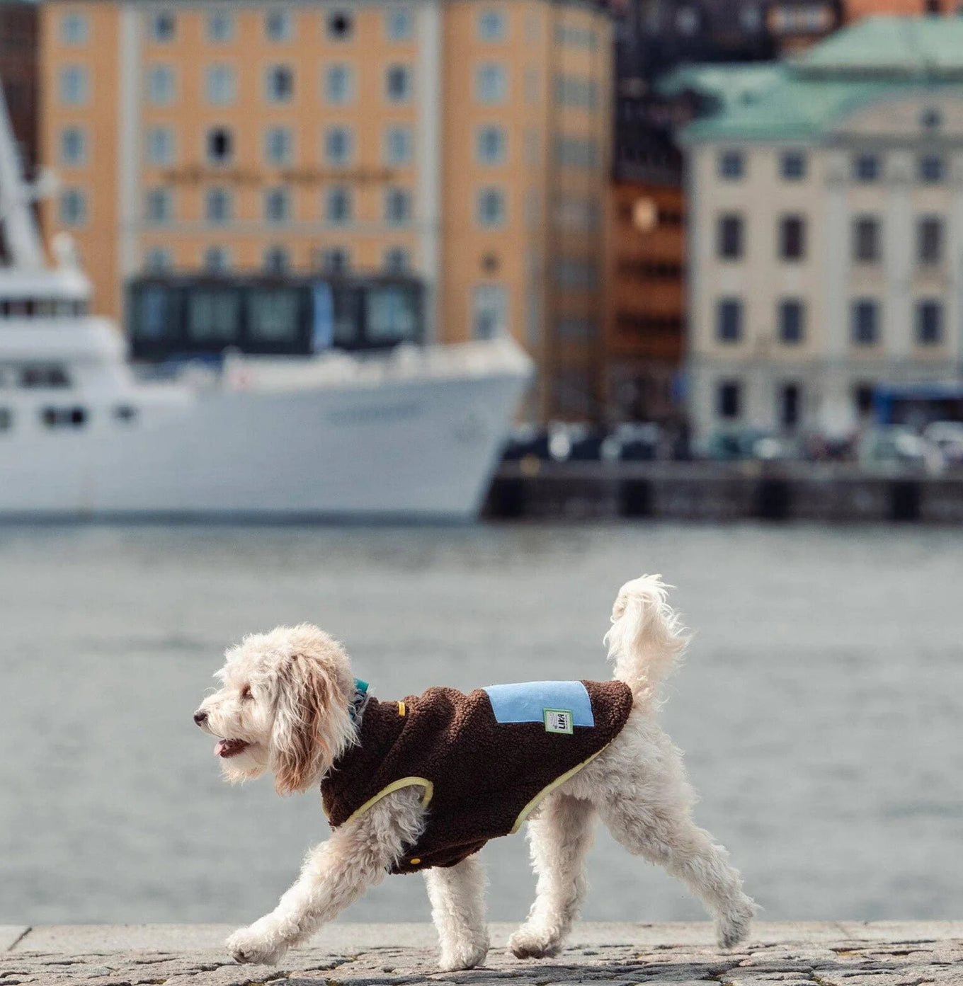 The Bretzel fleece jacket