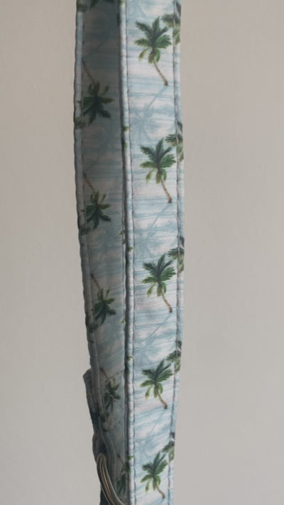 Λουρί Palms