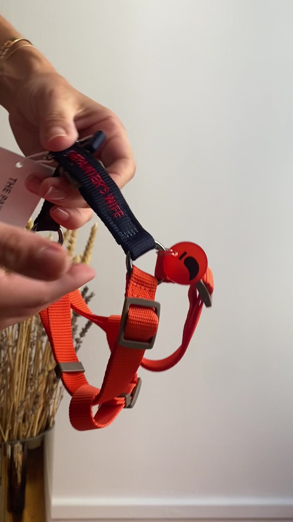 Charger la vidéo : harnais pour chien 