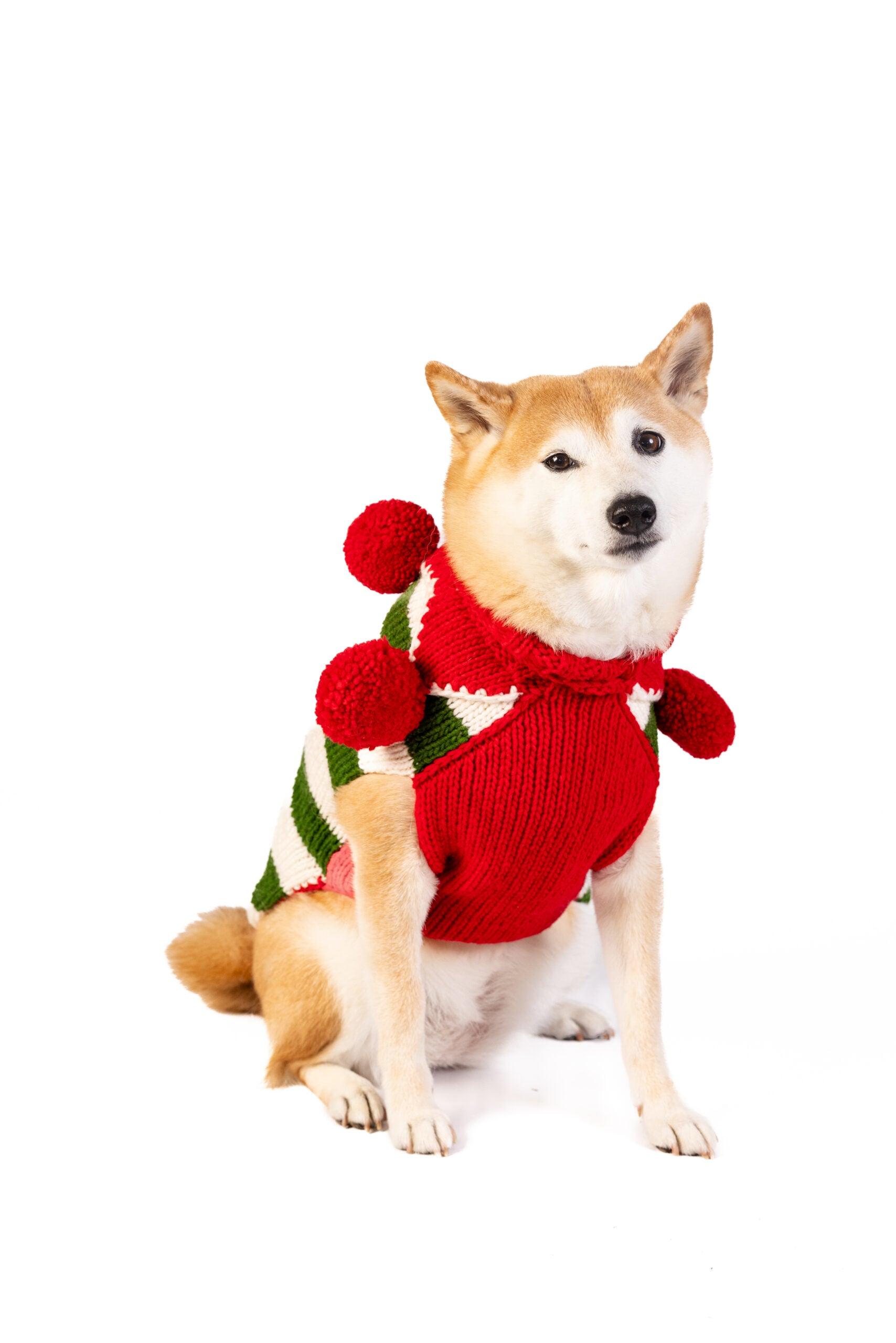 Pull de Noël Elfe