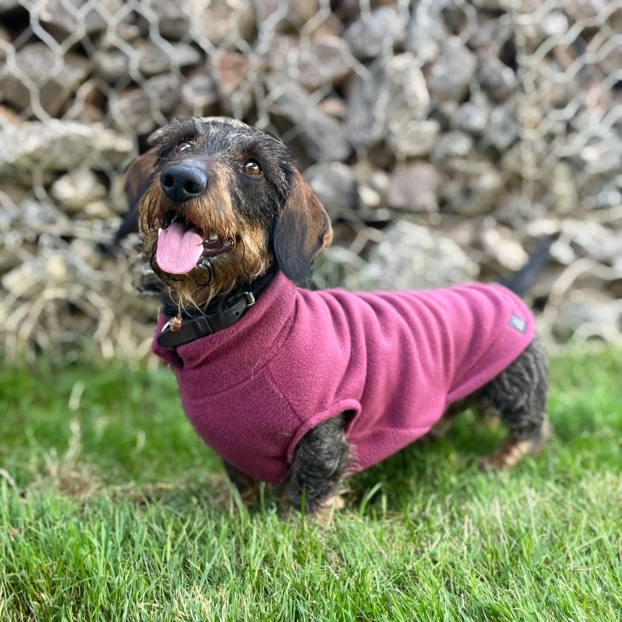 Fleece sweater for dachshund