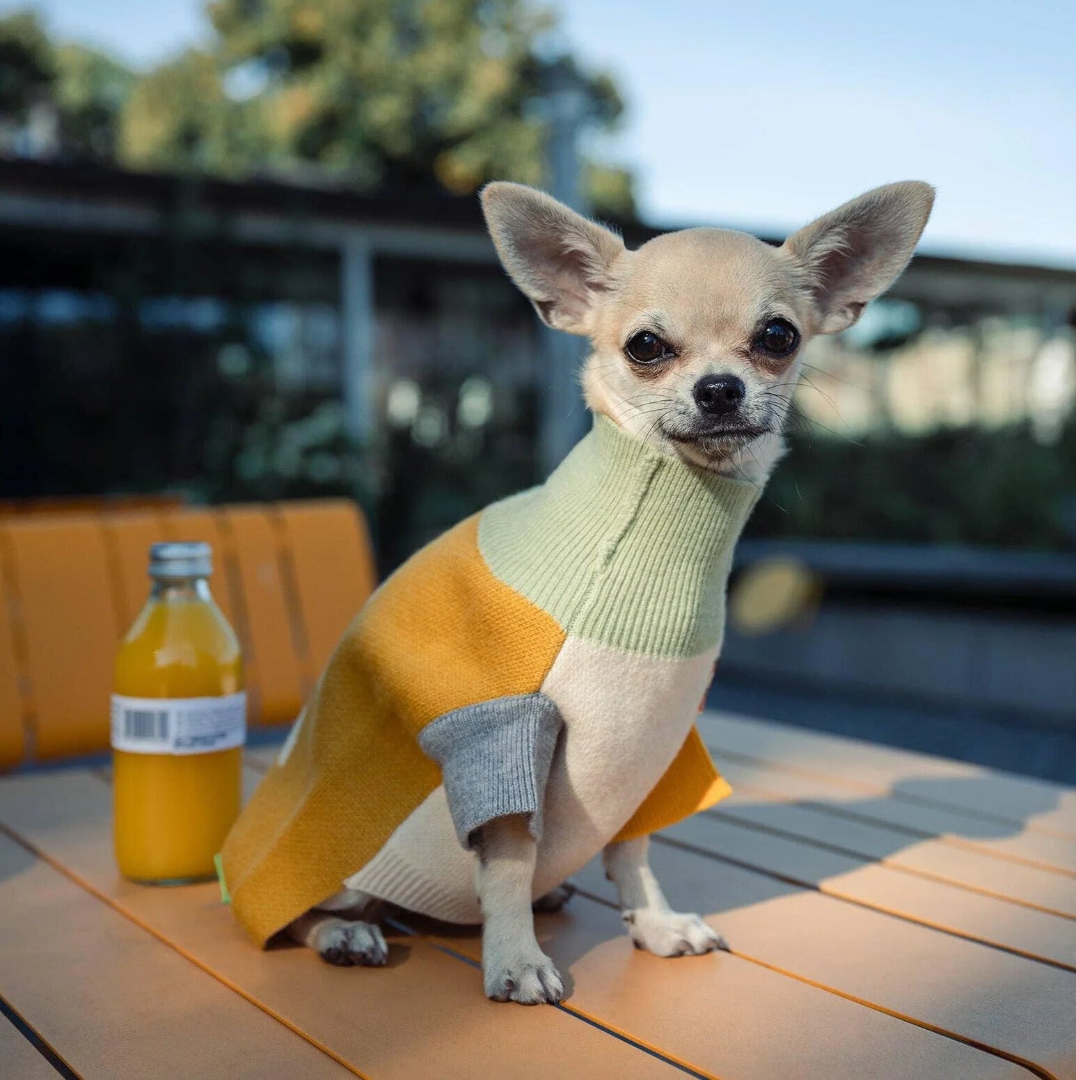 La Baguette wool sweater