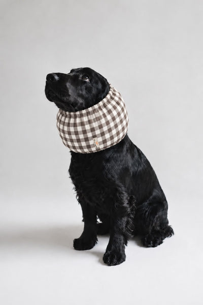Snood pour cocker Vichy Moka