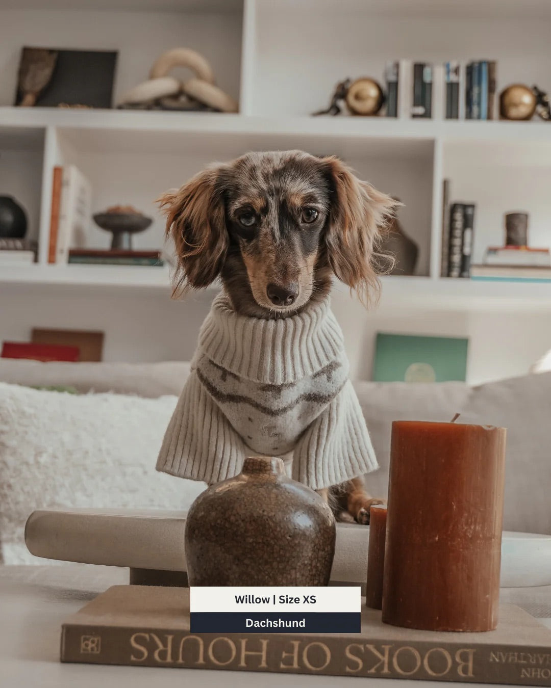 Pull col roulé Winter Trees