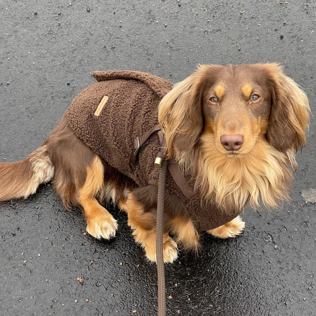 Cappotto Teddy con pettorina integrata