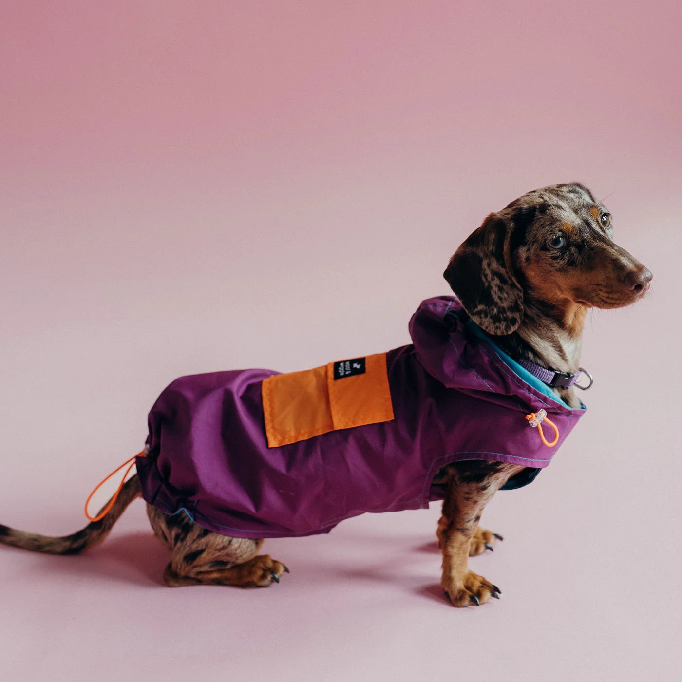 Imperméable tricolore avec capuche