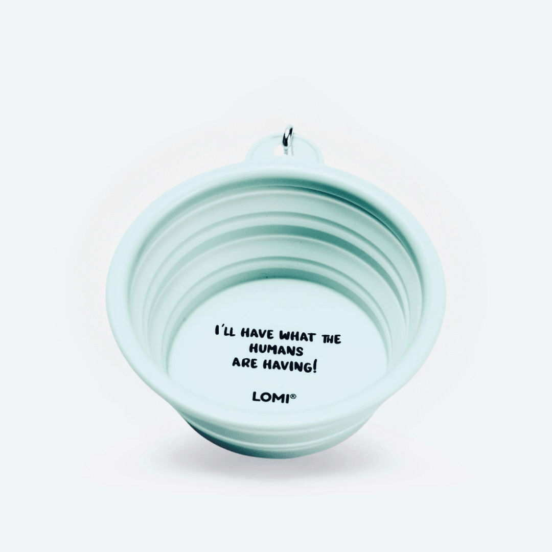 Lomi travel bowl