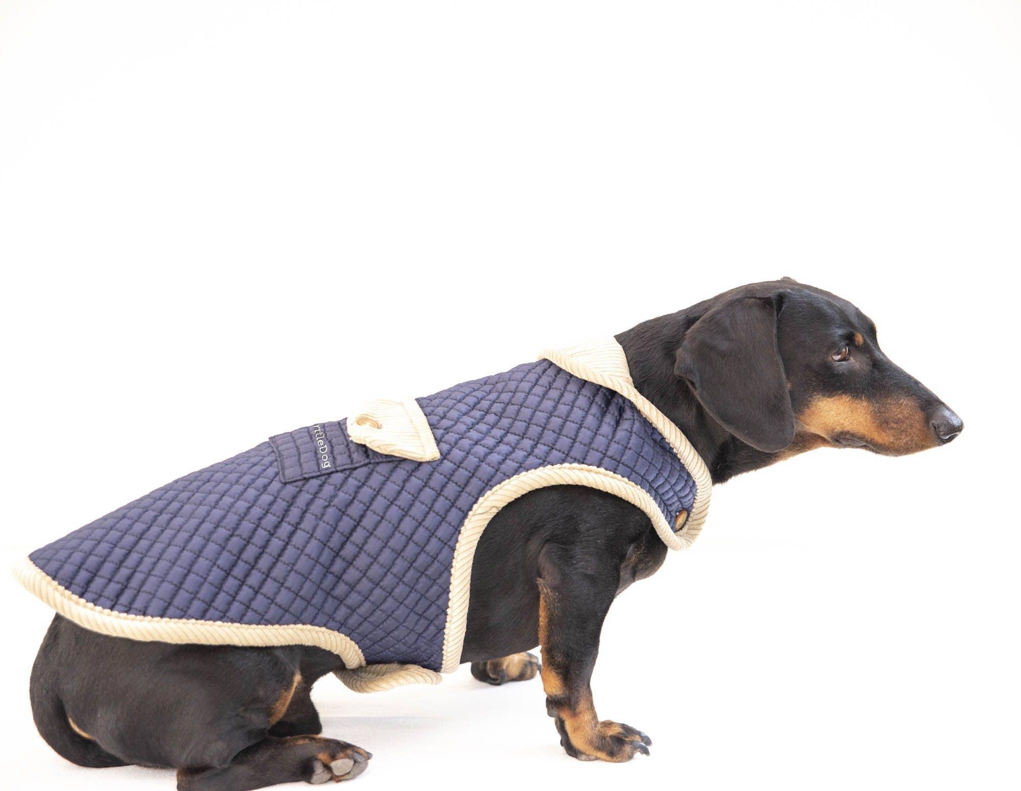 Gaston reversible jacket